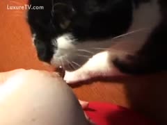 Kitty Loves Linking her Big Nipples 